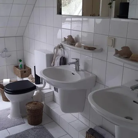 Neu! Zur Pusteblume * Sande