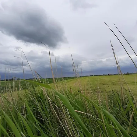 Neu! Zur Pusteblume Apartamento