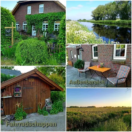 Neu! Zur Pusteblume *