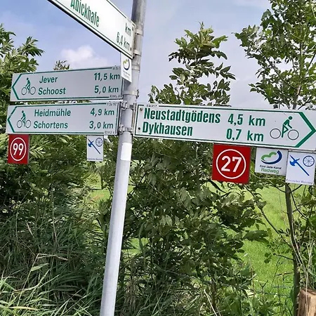 Neu! Zur Pusteblume * Sande